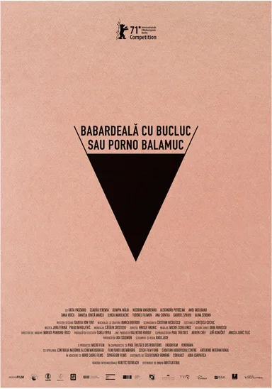 Film poster — Bad Luck Banging or Loony Porn