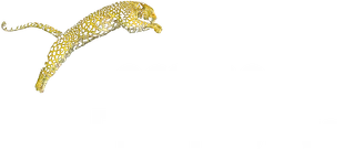 Festival logo